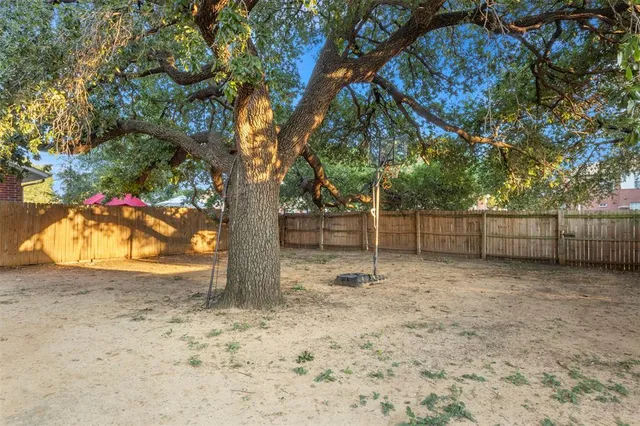 a view of a yard with a tree
