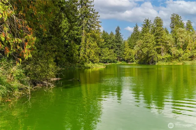 $425,000 | 18415 Hames Street Southeast, Yelm, WA 98597