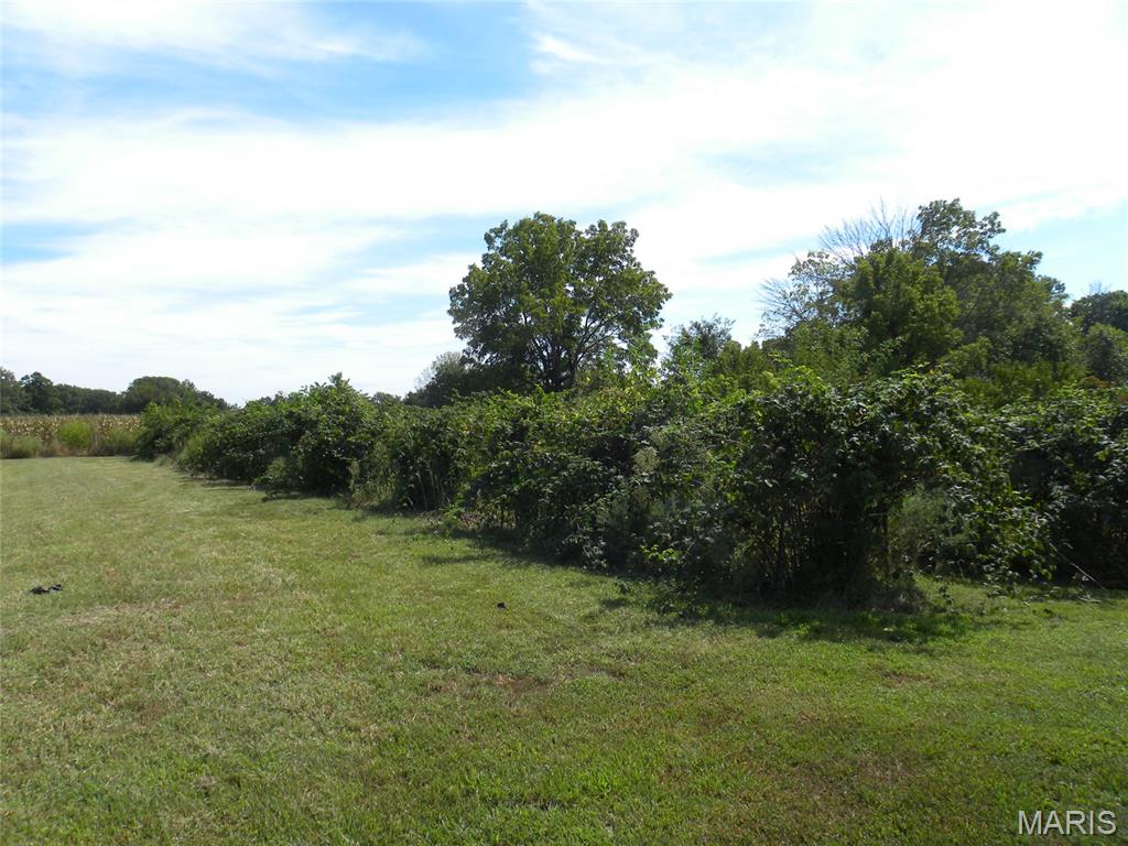 21512 Richey Hollow Road Jerseyville, IL 62052 - Photo 9 of 50 Gallery Image 9
