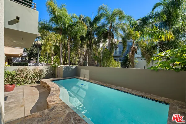 a view of a backyard with plants