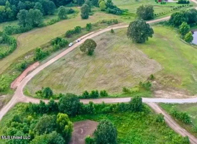 $30,000 | 199 Squirrel Hollow Road, Holly Springs, MS 38635