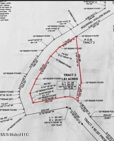 199 Squirrel Hollow Road Holly Springs, MS 38635 - Photo 3 of 7 3