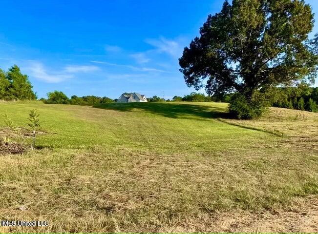 199 Squirrel Hollow Road Holly Springs, MS 38635 - Photo 4 of 7 4