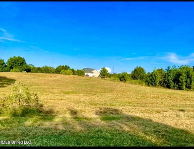 199 Squirrel Hollow Road Holly Springs, MS 38635 - Photo 5 of 7 5