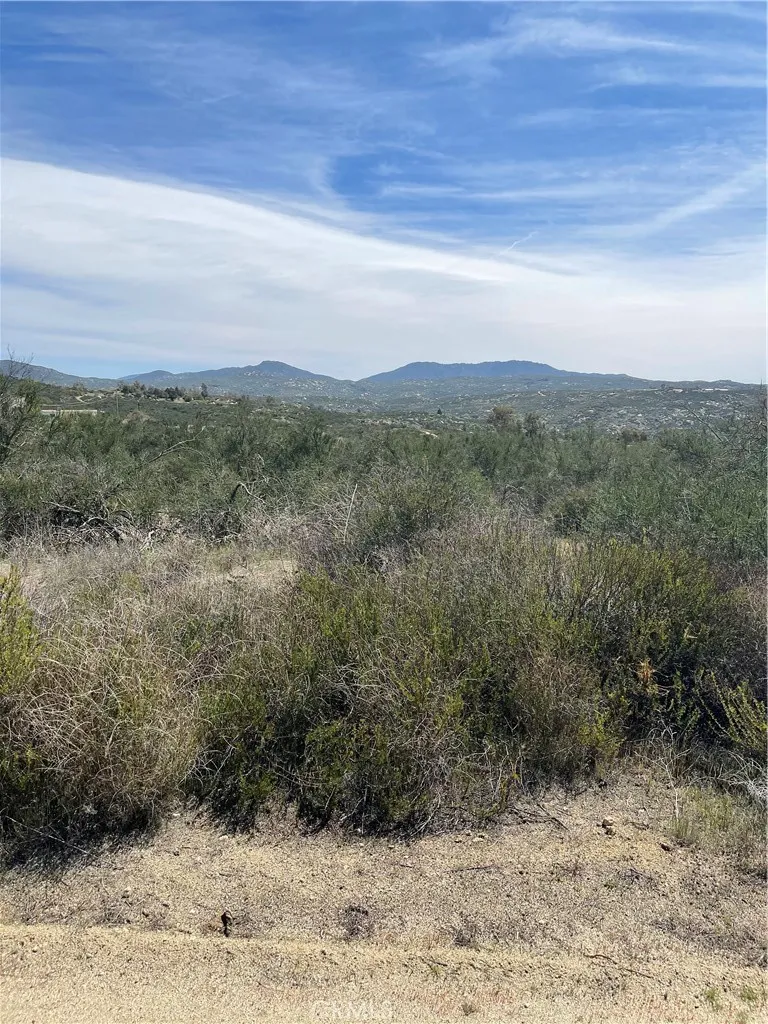 55 Madera Street Hemet, CA 92543 - Photo 4 of 4 a view of a yard
