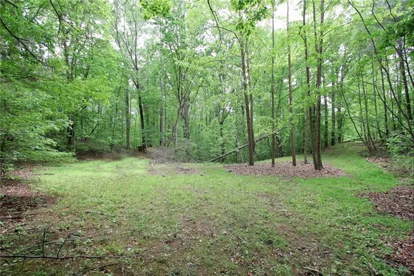 $975,000 | 445 Lula Payne Trail, Ball Ground, GA 30107