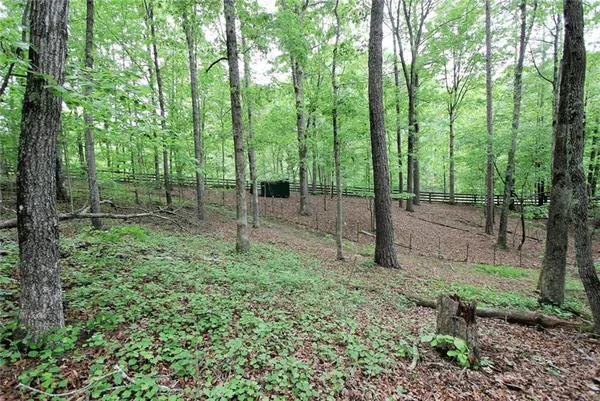 $975,000 | 445 Lula Payne Trail, Ball Ground, GA 30107