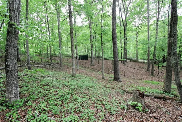 $975,000 | 445 Lula Payne Trail, Ball Ground, GA 30107