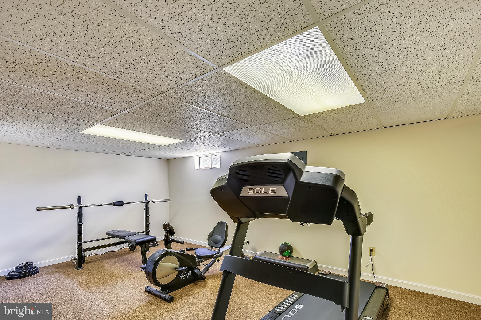 4625 Sutton Oaks Drive Chantilly, VA 20151 - Photo 48 of 60 Exercise/bonus room!