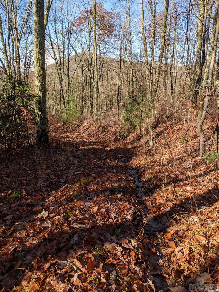 0 Mill Creek Road Cullowhee, NC 28723 - Photo 8 of 15 Gallery Image 8