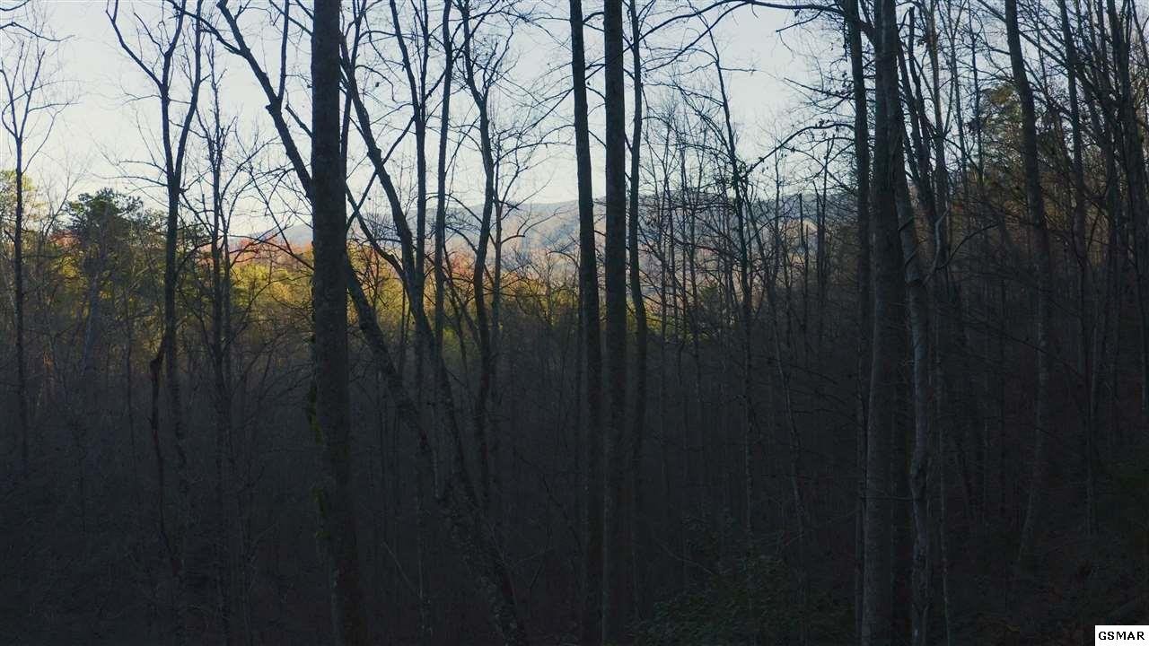 314 Hickey Road Sevierville, TN 37876 - Photo 7 of 36