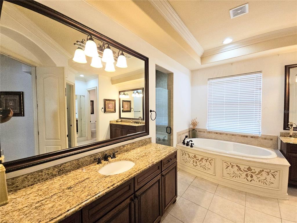 420 Muirfield Loop Reunion, FL 34747 - Photo 39 of 60 a spacious bathroom with a granite countertop tub sink and mirror