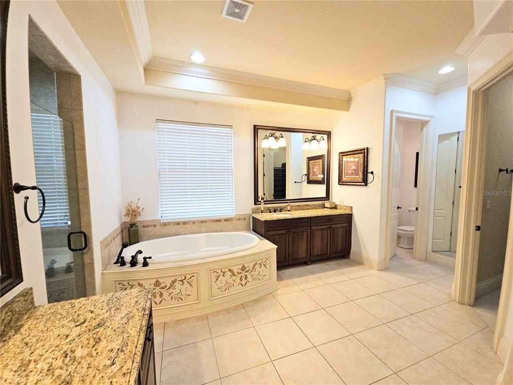 420 Muirfield Loop Reunion, FL 34747 - Photo 40 of 60 a bathroom with a tub a sink and a large mirror