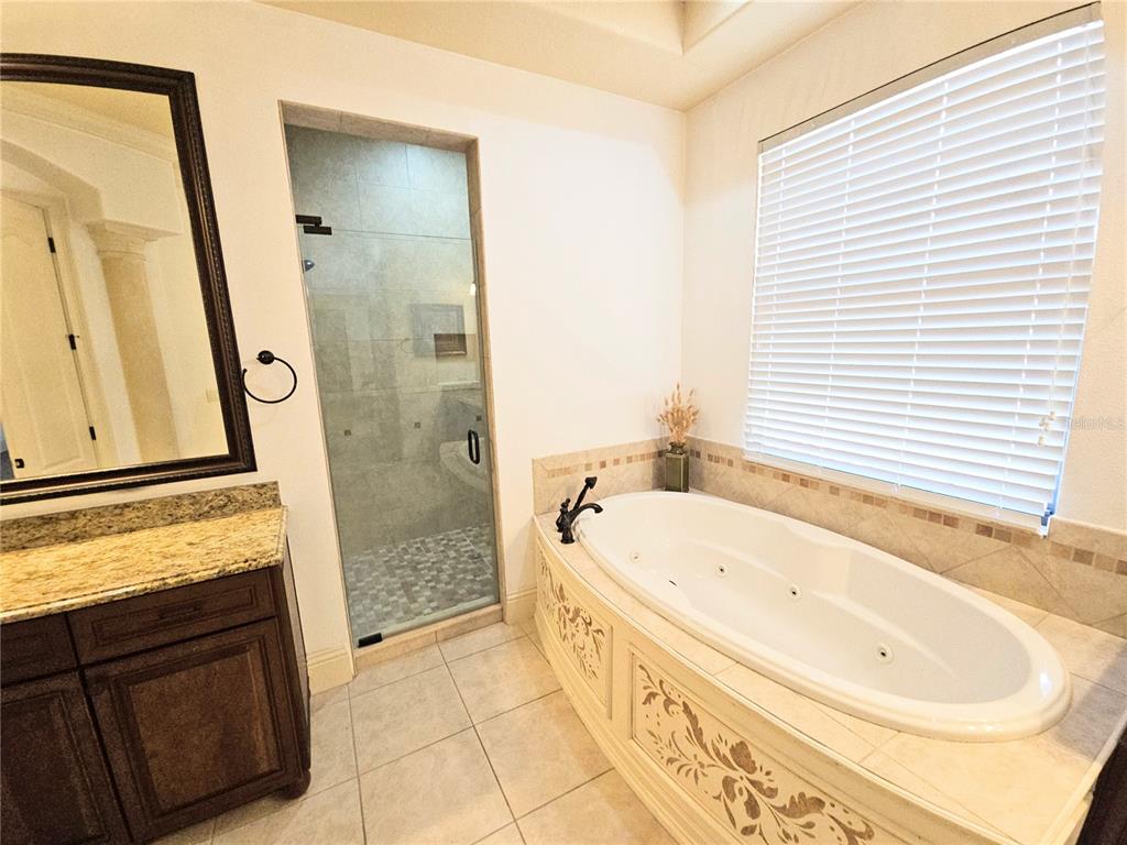 420 Muirfield Loop Reunion, FL 34747 - Photo 41 of 60 a bathroom with a bathtub and a sink