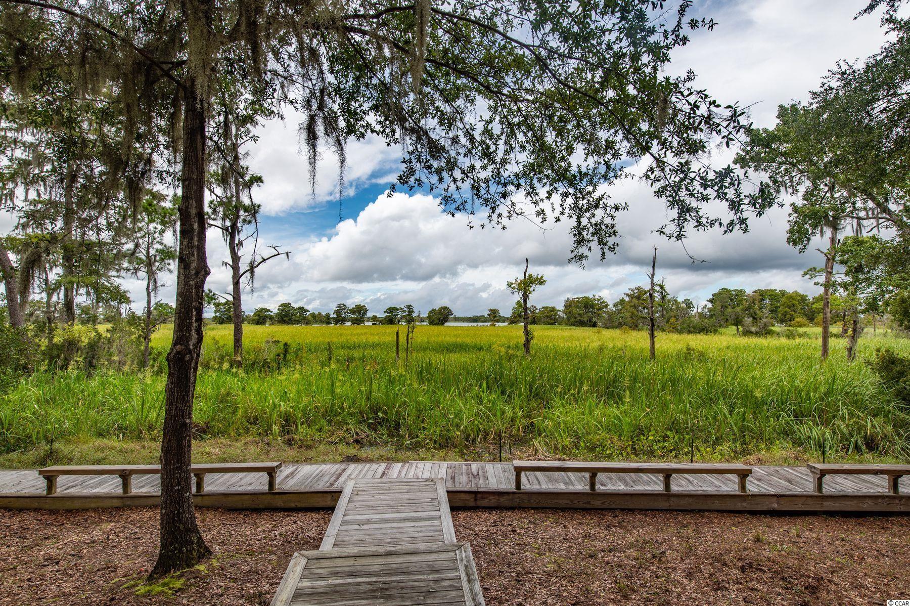 511 Rice Bluff Road Pawleys Island, SC 29585 - Photo 34 of 39