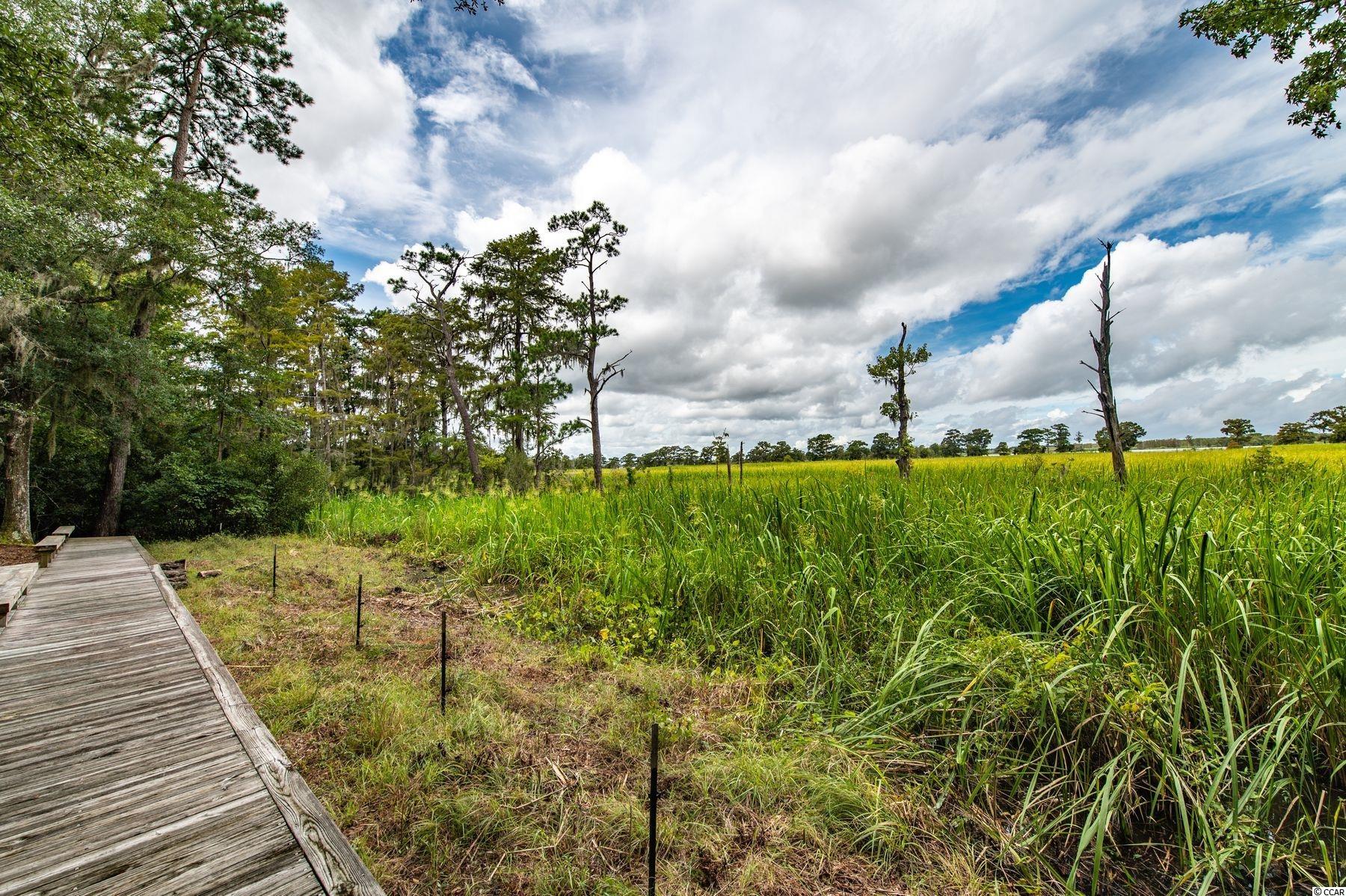 511 Rice Bluff Road Pawleys Island, SC 29585 - Photo 35 of 39