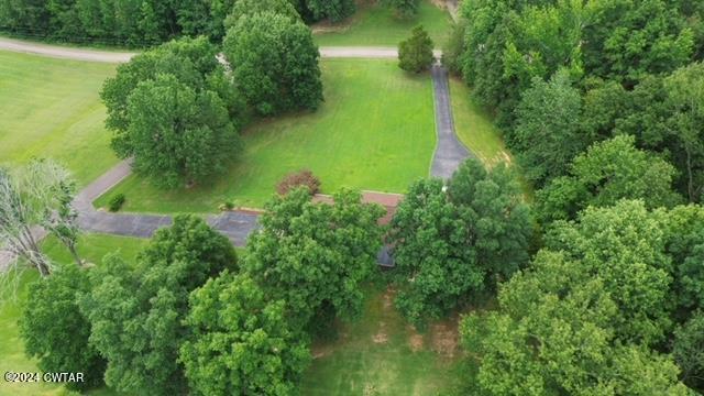 591 Asbury Road Camden, TN 38320 - Photo 35 of 38 a lush green forest with lots of trees