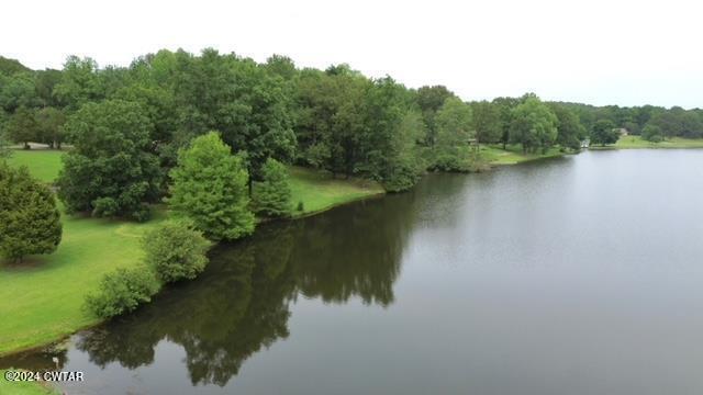 591 Asbury Road Camden, TN 38320 - Photo 37 of 38 a view of lake with green space