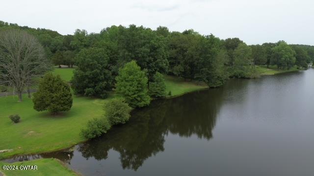 591 Asbury Road Camden, TN 38320 - Photo 38 of 38 a view of a lake from a yard
