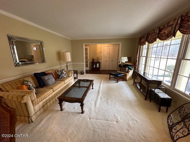 591 Asbury Road Camden, TN 38320 - Photo 7 of 38 a living room with furniture and a flat screen tv
