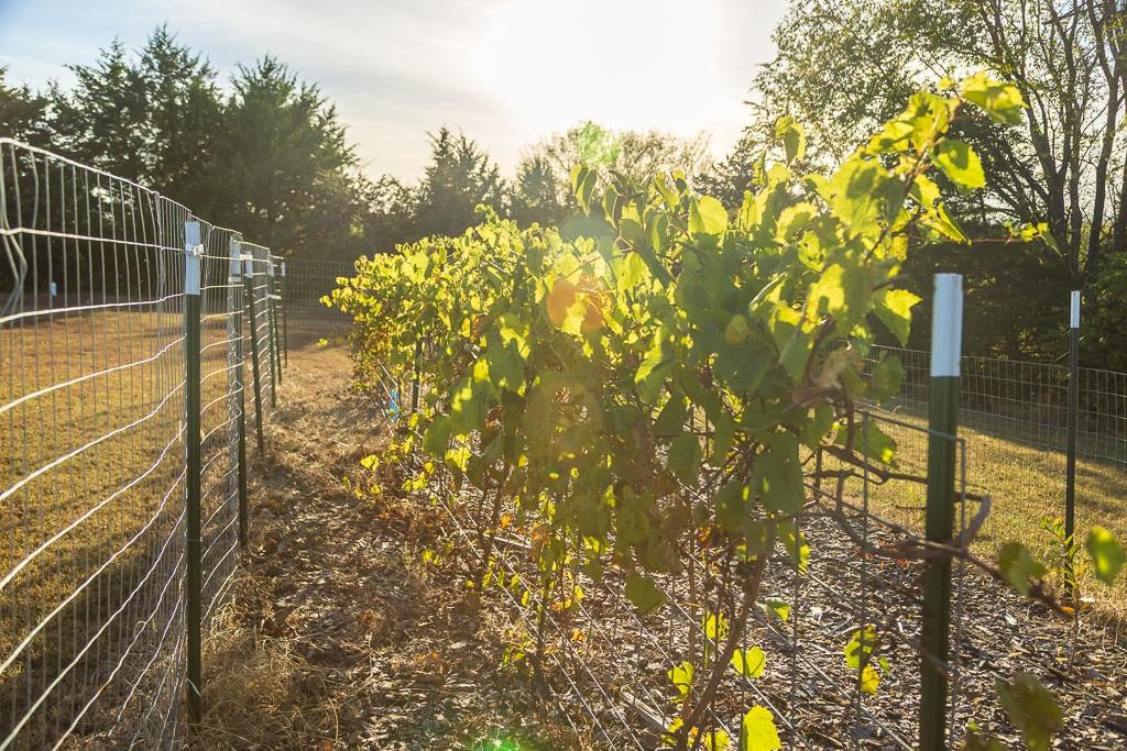 31620 West 2400th Road Greeley, KS 66033 - Photo 87 of 99