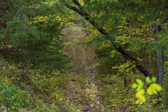 $1,079,176 | 31620 West 2400th Road, Greeley, KS 66033