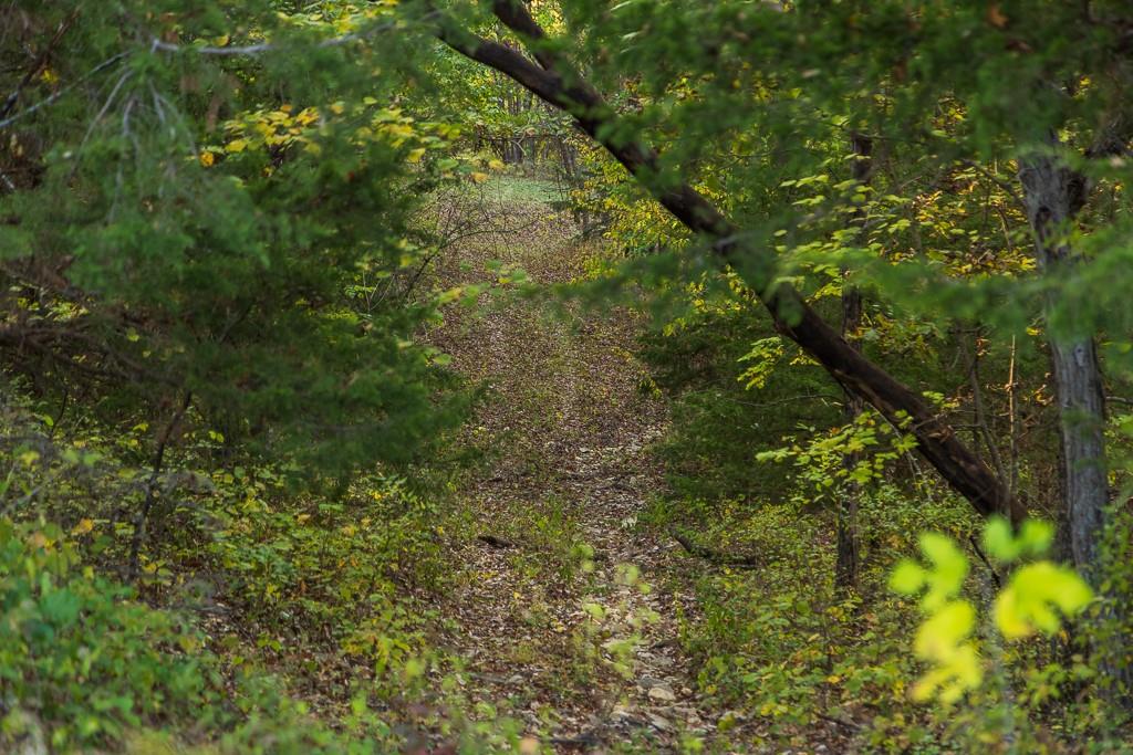 31620 West 2400th Road Greeley, KS 66033 - Photo 92 of 99