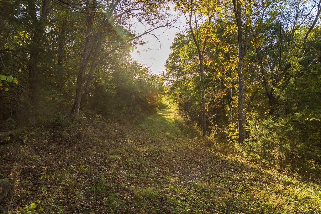 31620 West 2400th Road Greeley, KS 66033 - Photo 94 of 99