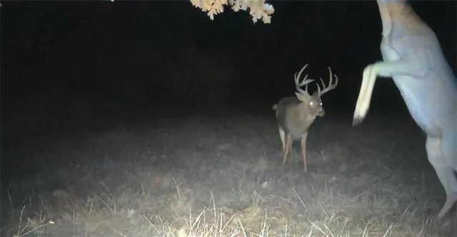 $1,079,176 | 31620 West 2400th Road, Greeley, KS 66033