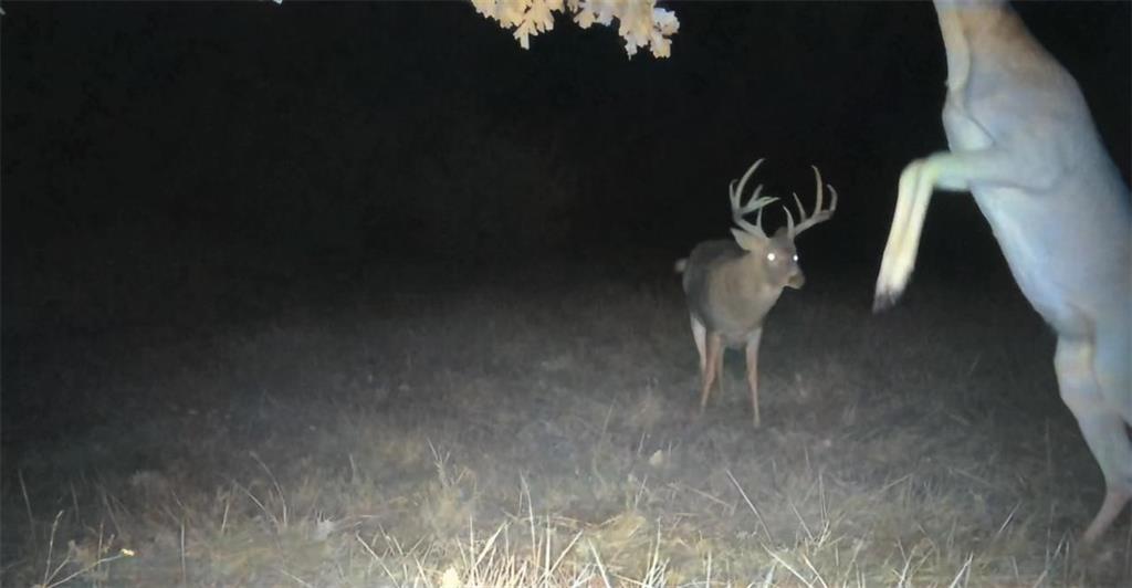 31620 West 2400th Road Greeley, KS 66033 - Photo 95 of 99