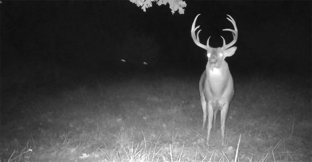 31620 West 2400th Road Greeley, KS 66033 - Photo 96 of 99