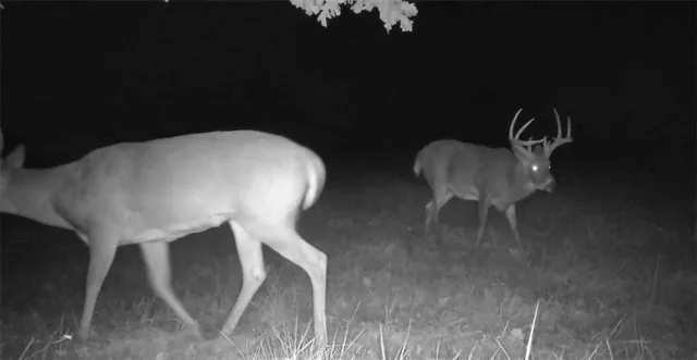 $1,079,176 | 31620 West 2400th Road, Greeley, KS 66033