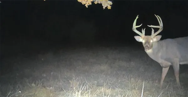 $1,079,176 | 31620 West 2400th Road, Greeley, KS 66033