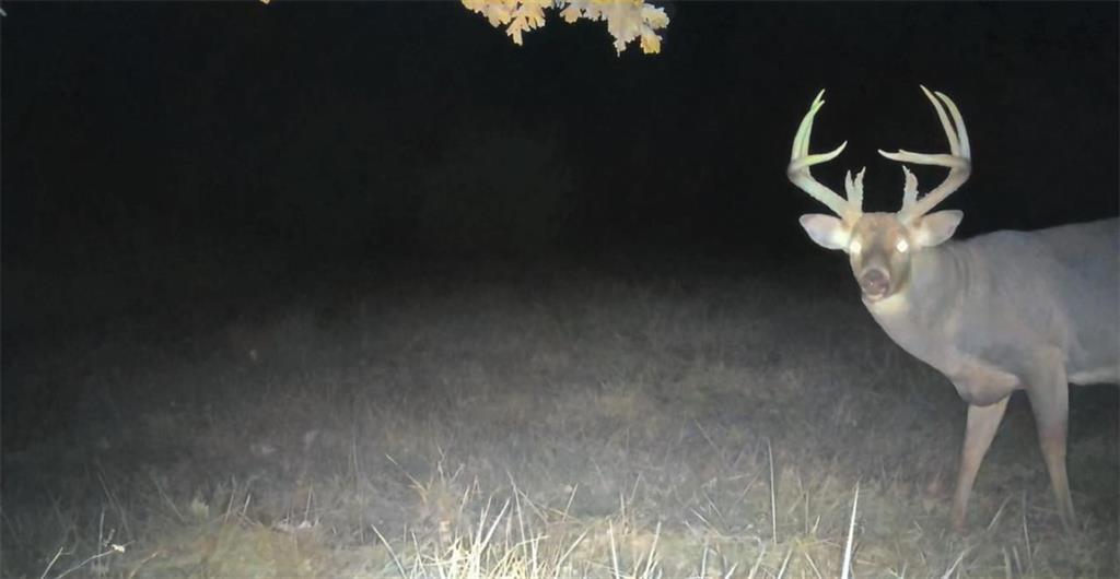 31620 West 2400th Road Greeley, KS 66033 - Photo 98 of 99