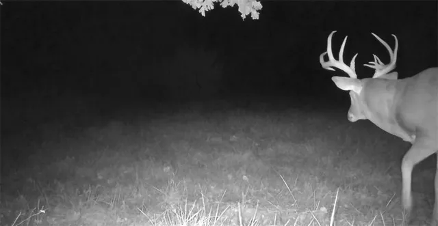 $1,079,176 | 31620 West 2400th Road, Greeley, KS 66033