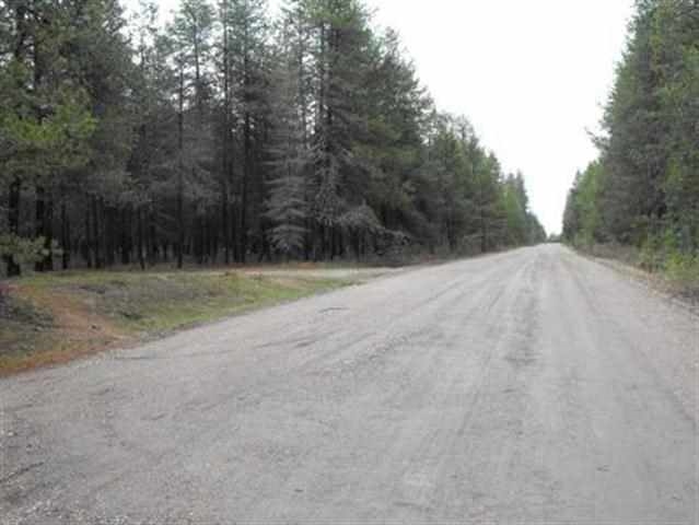 Xxx North Sheldon Road Deer Park, WA 99006 - Photo 2 of 2 Gallery Image 2