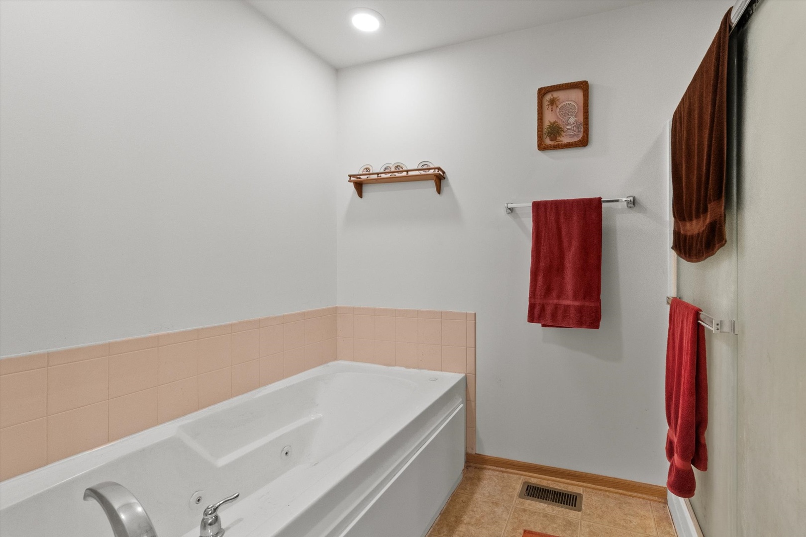 25426 Barrow Road Manhattan, IL 60442 - Photo 11 of 30 a bathroom with a bath tub and a shower