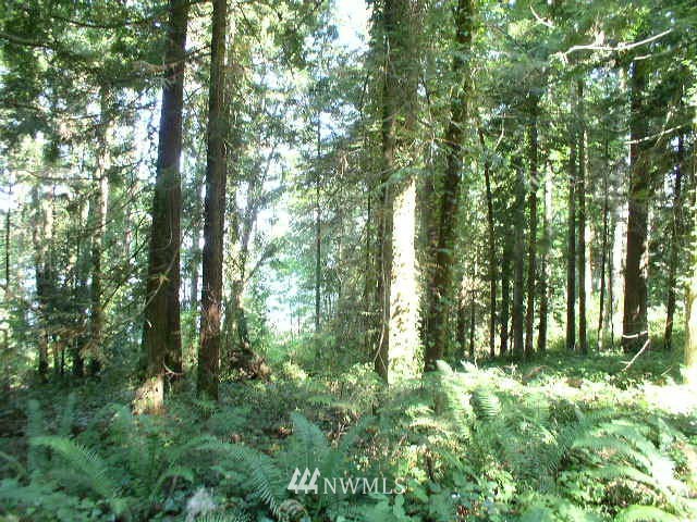 -xxx Fairmount Road Port Townsend, WA 98368 - Photo 2 of 8 Gallery Image 2