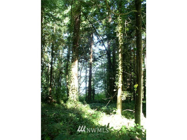 -xxx Fairmount Road Port Townsend, WA 98368 - Photo 3 of 8 Gallery Image 3