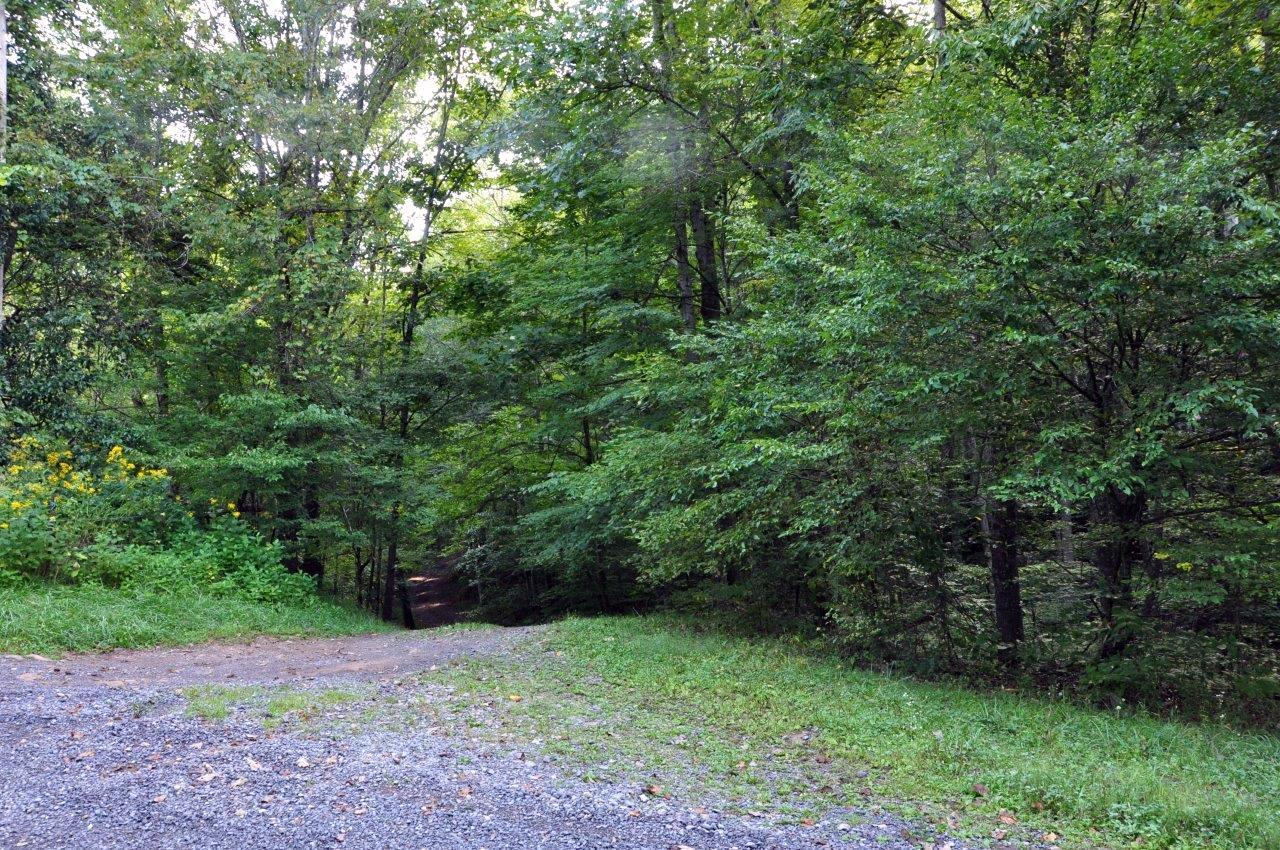 100 Duncan Branch Rd Green Meadow Bridge, WV 25976 - Photo 3 of 20 Gallery Image 3