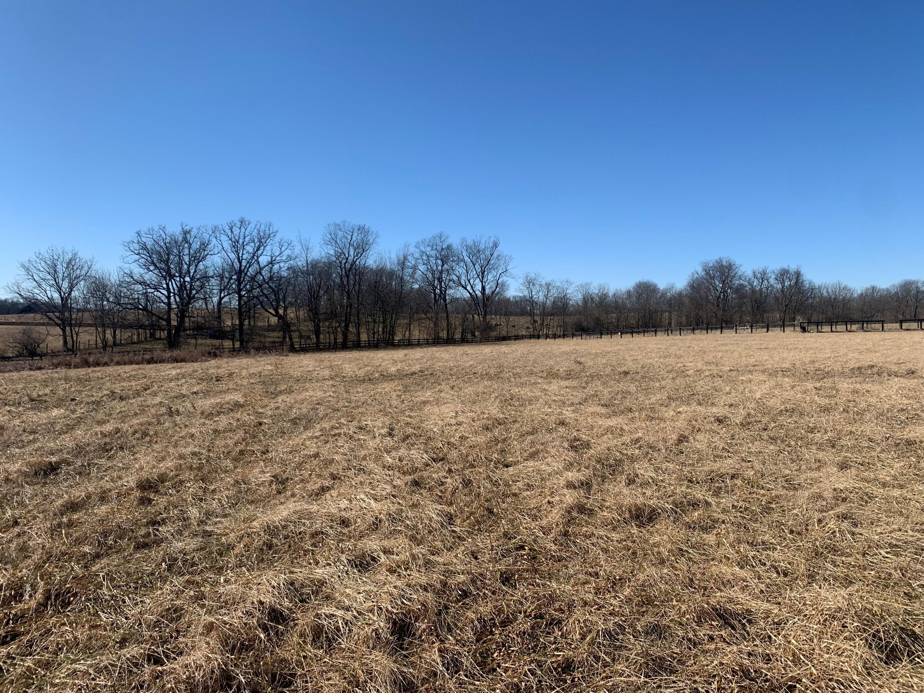 335 Hawkins - Cummins Road Paris, KY 40361 - Photo 6 of 18 Wooded tree line