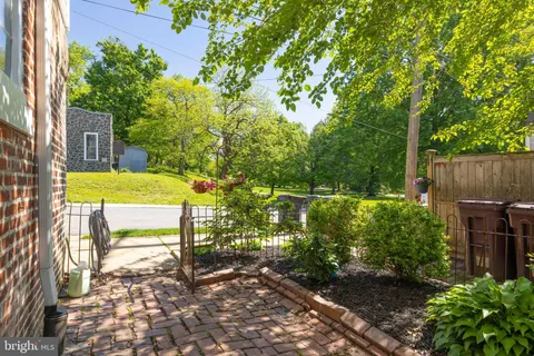 a view of a backyard with plants and large tree