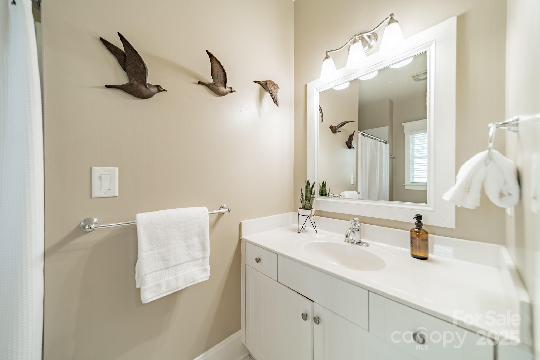 1946 Brawley School Road Mooresville, NC 28117 - Photo 32 of 48 a bathroom with a sink and a mirror