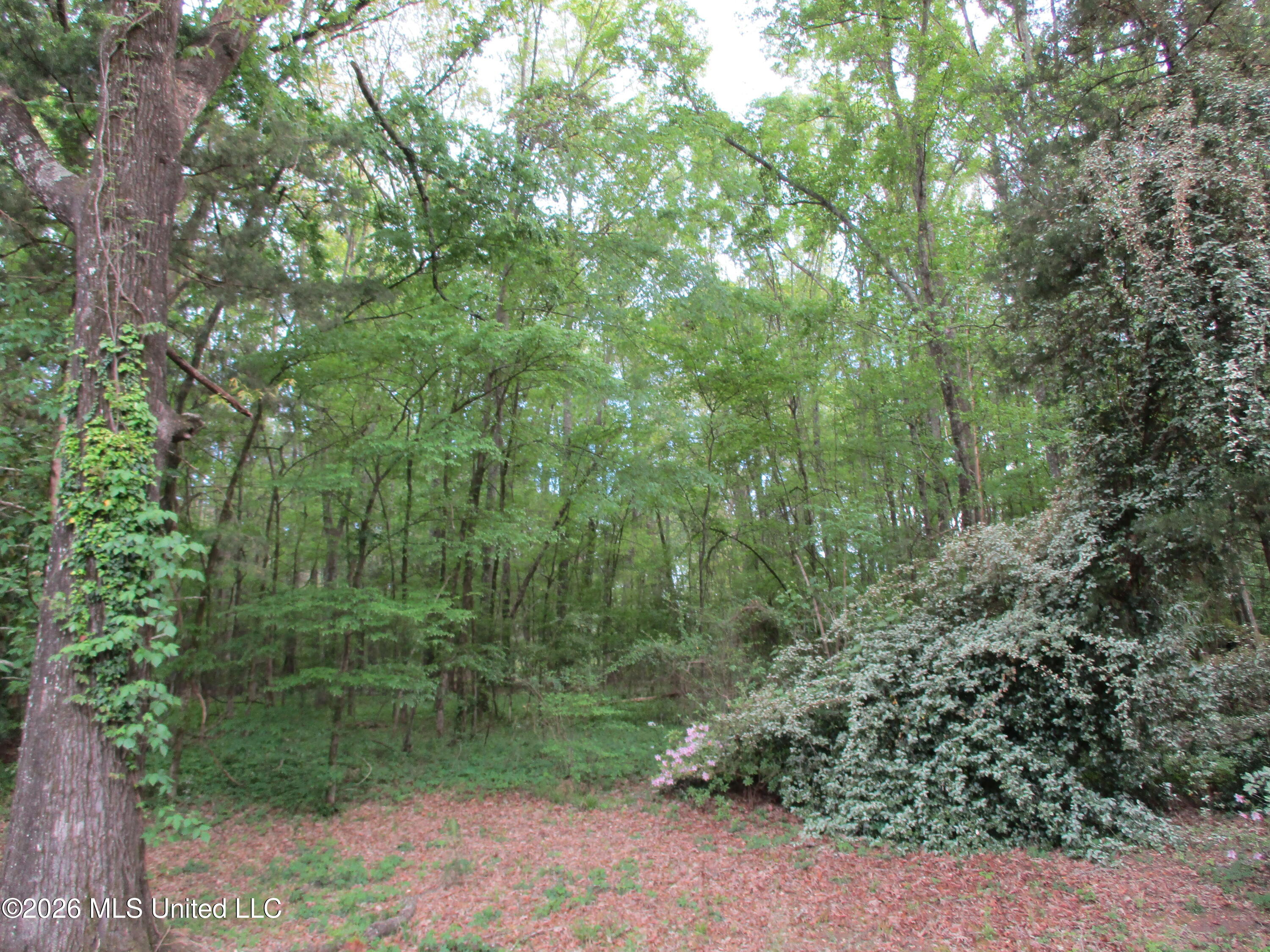 306 Monterey Road Richland, MS 39218 - Photo 64 of 68 IMG_0103