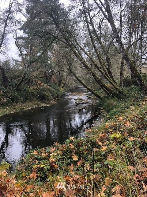 0 Hendrickson Road Vader, WA 98593 - Photo 14 of 15 Gallery Image 14