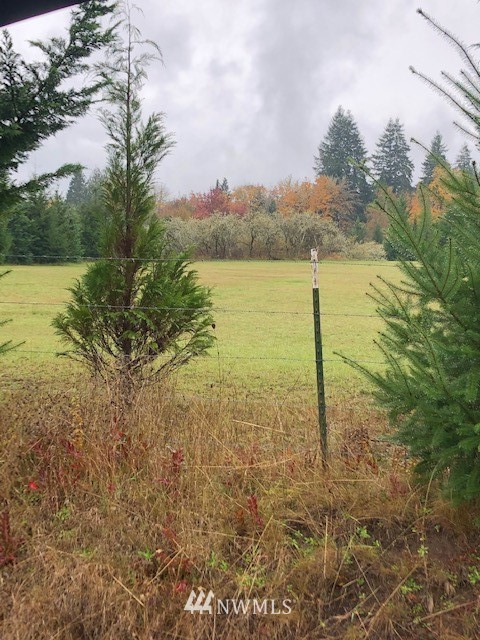 0 Hendrickson Road Vader, WA 98593 - Photo 5 of 15 Gallery Image 5