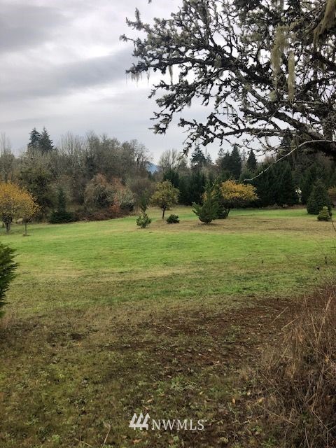 0 Hendrickson Road Vader, WA 98593 - Photo 7 of 15 Gallery Image 7