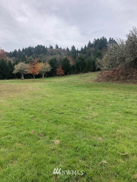 0 Hendrickson Road Vader, WA 98593 - Photo 8 of 15 Gallery Image 8