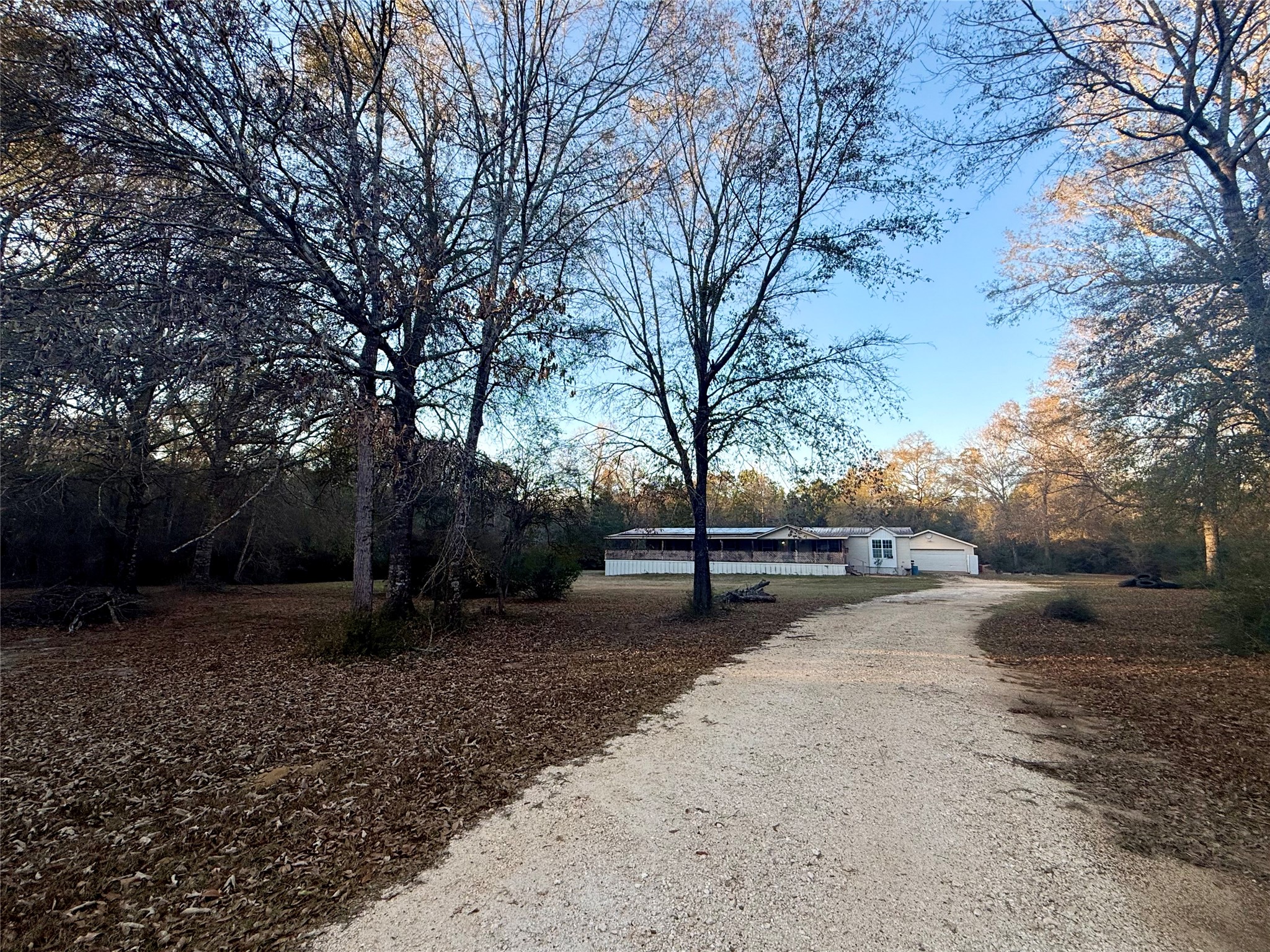a view of a tree in the middle of a yard