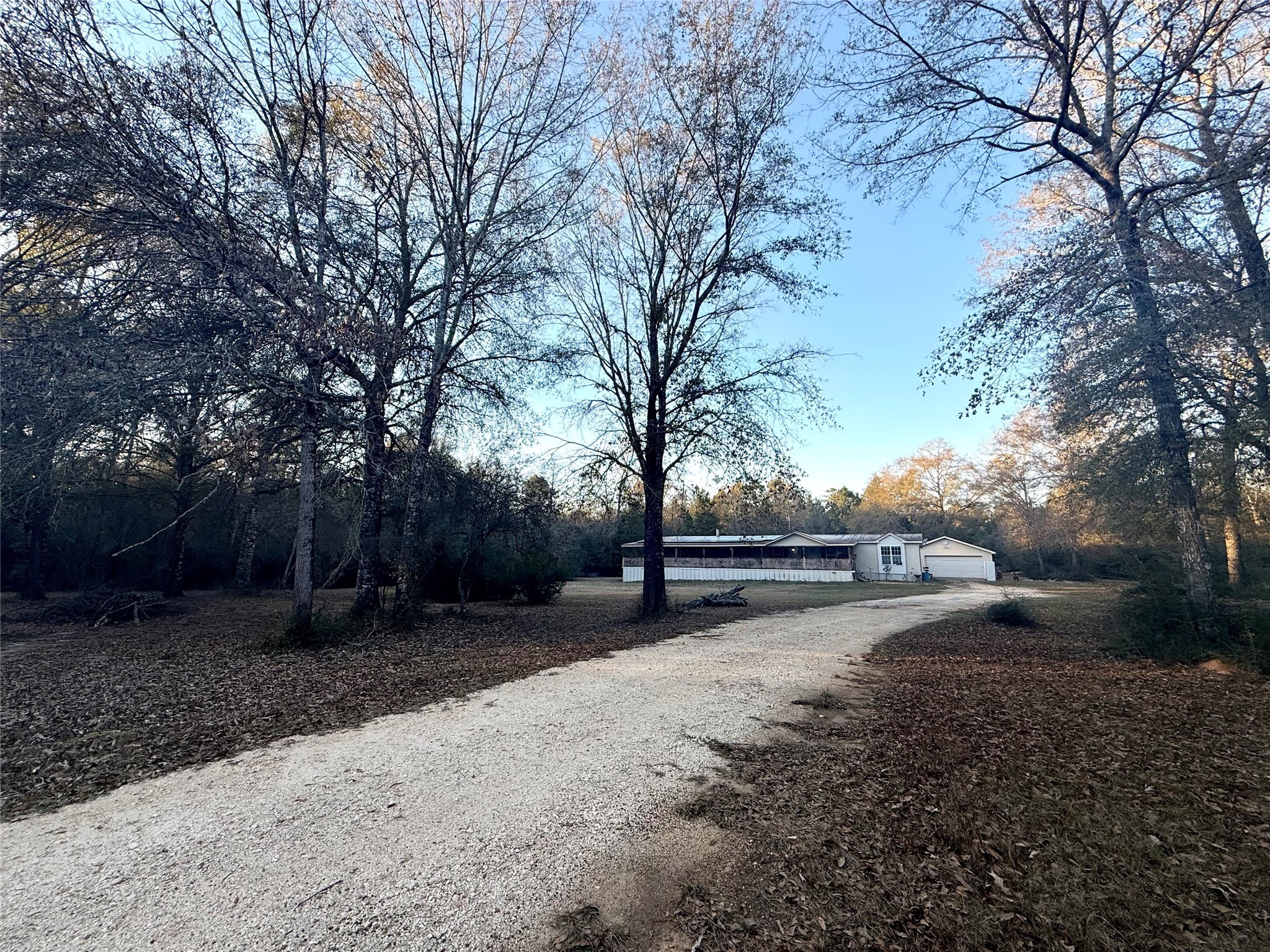 669 County Road 1245 Warren, TX 77664 - Photo 2 of 28 a view of a yard with a tree